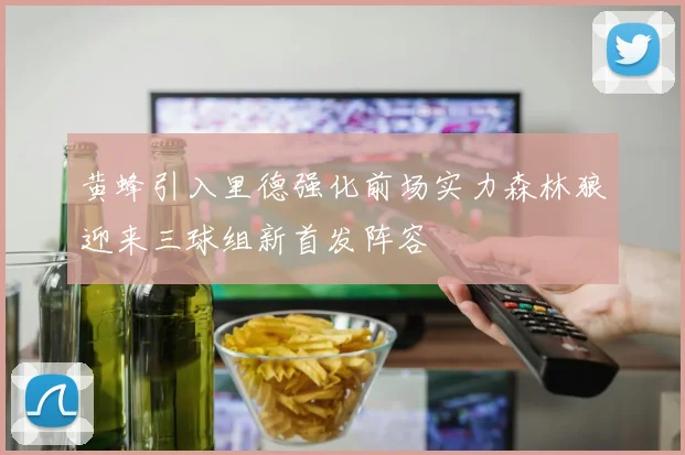 黄蜂引入里德强化前场实力森林狼迎来三球组新首发阵容
