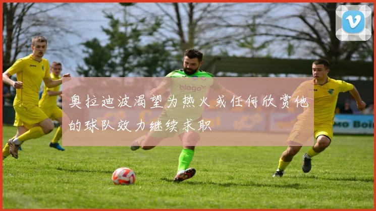 奥拉迪波渴望为热火或任何欣赏他的球队效力继续求职